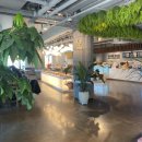 카페아리아 이미지