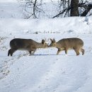 약속의 땅 이미지