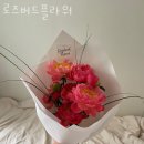 로즈버드플라워 이미지