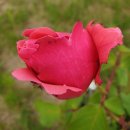 내곡동701 이미지