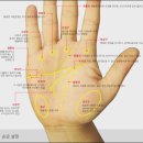 [생활지혜] 손금에 우리네 인생사가 다 담겨 있네.. 이미지
