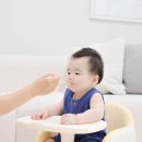 분이 | 후기이유식스케줄 분이이이분 feat.시판이유식