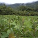 별이네농장 이미지