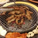 갈매기먹짱 이미지