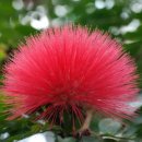 색연필드로잉 이미지