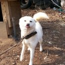 이동관 농장 Daum카페