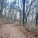 청아종합건설㈜ | 파주 심학산 둘레길을 걷다 보면 생각이 가벼워진다 – 설동명 작가의 드라마 ·예능 촬영지 심학산...