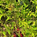 군산교육문화회관 이미지