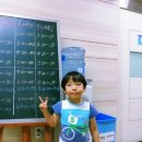 시민도야지