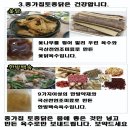 종가집토종닭 이미지