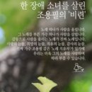 ♡ 조용필노래 "비련" 감동 사연 이미지