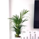 이레카써비스 이미지