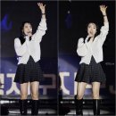 경북지구청년회의소 지구대회 in 포항송도해수욕장 (2025.10.03) 이미지