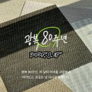 주식회사 나무인터내셔널 이미지