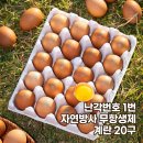 농수산반점 | 대한민국농수산 '난각번호1번 무항생제 자연방사 유정란 20구' 8900원 후기!