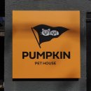 펌킨 펫하우스 청담 이미지