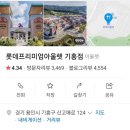 풋조이롯데