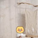 La villa Studio 라빌라 스튜디오 돌사진 후기