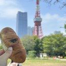 여기도미장원 | 2025.4.23 ~ 4.26 _ 3박4일 도쿄여행 2DAY | 도토루 말차라떼 | 팡메종 | 시바공원 | 마루시치 | 센소지...