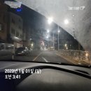 영덕공업사 | 충격과 공포의 고속도로 고라니 로드킬 후기,,,,^^