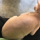 냐옹냐옹고양이카페 네이버블로그