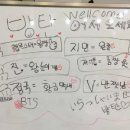 쪼물왕국 이미지