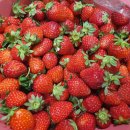 한일지물포 이미지