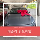 포지티브 도그 트레이닝센터 | 테슬라 광명 이케아 인도 방법 및 이벤트 내용 후기