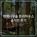 완주 편백나무숲 트리하우스, 솔직한 이용 후기