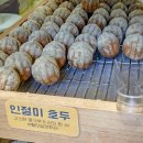 김호두 이미지
