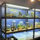 유리안공방 이미지