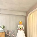 마샬헤어라인 이미지