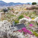 어부의만찬A 이미지