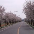 점촌 소머리국밥 이미지