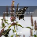 네모스테이 이미지