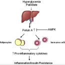 Re:Re: AMP-activated Protein Kinase (AMPK): Does This Master Regulator of Cellular Energy State Distinguish Insulin Sensitive from Insulin Resistant O 이미지