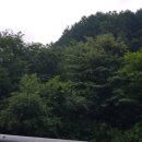 [강원도 춘천 펜션] 펜션이 곧 자연인 가평 계곡 펜션 추천 (ft. 별님달님펜션)