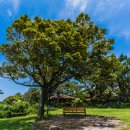 씨에스 호텔 이미지