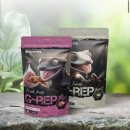 시리우스인섹트샵-수입 | 크레스티드 게코 밥주는 방법+슈퍼푸드 종류