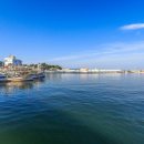 하루와이틀 이미지