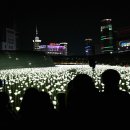 동대문 디자인 플라자 - 장미축제 이미지