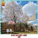 흥도동 애견카페 포시즌 운영시간 및 방문 정보와 가격까지 한번에 알아봐요
