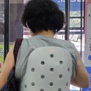 현대보조기