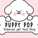 퍼피팝 이미지