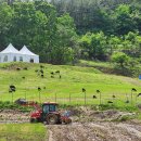 정이목장 이미지