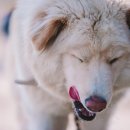 바닷가 작은 집 이미지