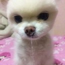 난 초고교급 . . 뭐지 ?