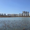 만성수변공원 네이버블로그