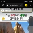 생명에 대한 나의 이미지