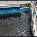 귀족당구장 이미지